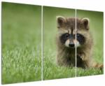 Mivali Tablou cu chiuvetă, din trei bucăți 120x80 cm (V020916V120803PCS)
