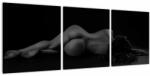 Mivali Tablou - Femeia întinsă nud, din trei bucăți 90x30 cm (V022896V9030)
