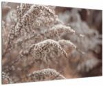 Mivali Tablou cu plante, dintr-o bucată 90x60 cm (V022276V9060)