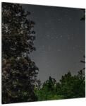 Mivali Tablou cu cerul nocturn, dintr-o bucată 50x50 cm (V020998V5050)