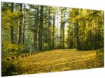 Mivali Tablou - pădurea toamna, dintr-o bucată 120x70 cm (V020218V12070)