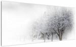 Mivali Tablou - Aleea de iarnă, dintr-o bucată 120x50 cm (V023265V12050)