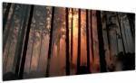 Mivali Tablou cu pădure întunecată, dintr-o bucată 100x40 cm (V020379V10040)