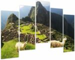 Mivali Tablou - Lame in Machu Picchu, din cinci bucăți 125x90 cm (V023803V12590)