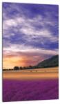 Mivali Tablou cu lunca cu lavandă, dintr-o bucată 20x30 cm (V022156V2030)