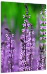 Mivali Tablou cu flori de luncă violete, dintr-o bucată 30x40 cm (V020193V3040)