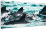 Mivali Tablou pe sticlă - Delfini în ocean, dintr-o bucată 100x50 cm pe sticlă (V021515V10050GD)
