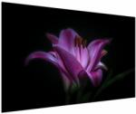 Mivali Tablou crinul, dintr-o bucată 150x100 cm (V021729V150100)