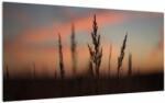 Mivali Tablou pe sticlă - Silueta plantei, dintr-o bucată 100x50 cm pe sticlă (V022647V10050GD)