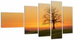 Mivali Tablou cu apus de soare pe o luncă, din cinci bucăți 110x60 cm (V020919V11060)