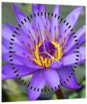 Mivali Tablou - Floare violet (cu ceas), dintr-o bucată 30x30 cm cu ceas (V022431V3030C)