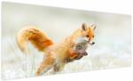 Mivali Tablou - Vulpe care sare, dintr-o bucată 250x125 cm (V023933V250125)