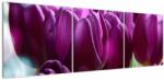 Mivali Tablou cu lalele, din trei bucăți 150x50 cm (V020308V15050)