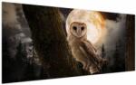 Mivali Tablou cu bufnița, dintr-o bucată 200x100 cm (V022174V200100)