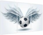 Mivali Tablou - Balon cu aripi, din trei bucăți 120x80 cm (V023648V120803PCS)
