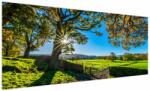 Mivali Tablou Privire la câmp, dintr-o bucată 250x125 cm (V022670V250125)