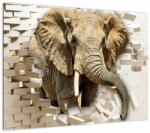 Mivali Tablou pe sticlă - Elefant spârgând peretele, dintr-o bucată 70x50 cm pe sticlă (V022794V7050GD)