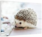 Mivali Tablou pe sticlă cu arici, dintr-o bucată 70x50 cm pe sticlă (V020368V7050GD)