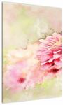 Mivali Tablou - Floare roz, aquarel, dintr-o bucată 50x70 cm (V023031V5070)