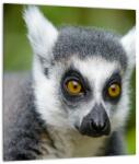 Mivali Tablou cu lemur, dintr-o bucată 30x30 cm (V021130V3030)