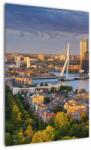 Mivali Tablou - Panorama Rotterdamului, Țările de Jos, dintr-o bucată 50x70 cm (V023175V5070)