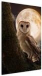 Mivali Tablou cu bufnița, dintr-o bucată 60x90 cm (V022174V6090)