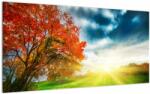 Mivali Tablou pe sticlă peisaj cu scufundat în razele solare, dintr-o bucată 100x50 cm pe sticlă (V021773V10050GD)