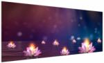 Mivali Tablou - Nuferi magici, dintr-o bucată 250x125 cm (V022846V250125)