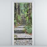 Mivali Fototapeta pentru ușă - trepte în pădure (D014268D95205)