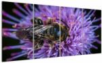 Mivali Tablou cu albina pe floare, din patru bucăți 160x80 cm (V020419V16080)