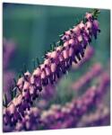 Mivali Tablou pe sticlă cu floare violetă, dintr-o bucată 40x40 cm pe sticlă (V020421V4040GD)