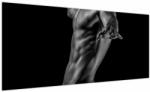 Mivali Tablou - Artă masculină, dintr-o bucată 100x40 cm (V023837V10040)