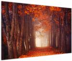 Mivali Tablou - Pădurea de toamnă, dintr-o bucată 120x80 cm (V021985V12080)