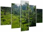 Mivali Tablou cu terasele cu orez Tegalalang, Bali, din cinci bucăți 150x105 cm (V021569V150105)