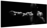 Mivali Tablou - Lovitura cu pumn, dintr-o bucată 100x40 cm (V022008V10040)