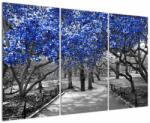 Mivali Tablou - Copaci albaștri Central Park, New York, din trei bucăți 120x80 cm (V023118V120803PCS)