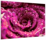 Mivali Tablou pe sticlă cu floarea trandafirului roz, dintr-o bucată 70x50 cm pe sticlă (V020056V7050GD)