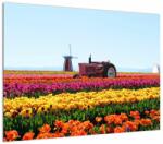 Mivali Tablou cu farma de lalele, dintr-o bucată 70x50 cm (V021542V7050)