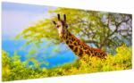 Mivali Tablou - Girafa în Africa, dintr-o bucată 200x100 cm (V023370V200100)