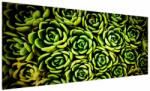 Mivali Tablou cu flori de piatră, dintr-o bucată 250x125 cm (V021505V250125)