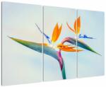 Mivali Tablou cu floarea Strelicie, din trei bucăți 120x80 cm (V021628V120803PCS)
