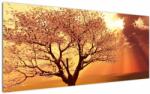 Mivali Tablou cu razele lui Dumnezeu, dintr-o bucată 120x50 cm (V021190V12050)