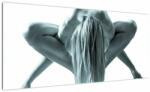 Mivali Tablou - Nud, dintr-o bucată 100x40 cm (V023502V10040)