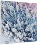 Mivali Tablou cu copaci înzăpeziți, dintr-o bucată 50x50 cm (V021172V5050)