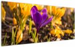 Mivali Tablou cu floare violetă, dintr-o bucată 120x50 cm (V020341V12050)