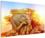 Mivali Tablou - Animale africane, dintr-o bucată 120x80 cm (V023027V12080)