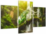Mivali Tablou - cameleon, din trei bucăți 90x60 cm (V020277V90603PCS)