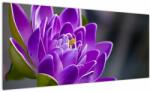Mivali Tablou floarei, dintr-o bucată 100x40 cm (V022204V10040)