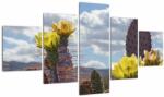 Mivali Tablou cu floarea de cactus Opunție, din cinci bucăți 125x70 cm (V021553V12570)