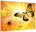 Mivali Tablou - Fluture galben cu flori, dintr-o bucată 70x50 cm (V022521V7050)